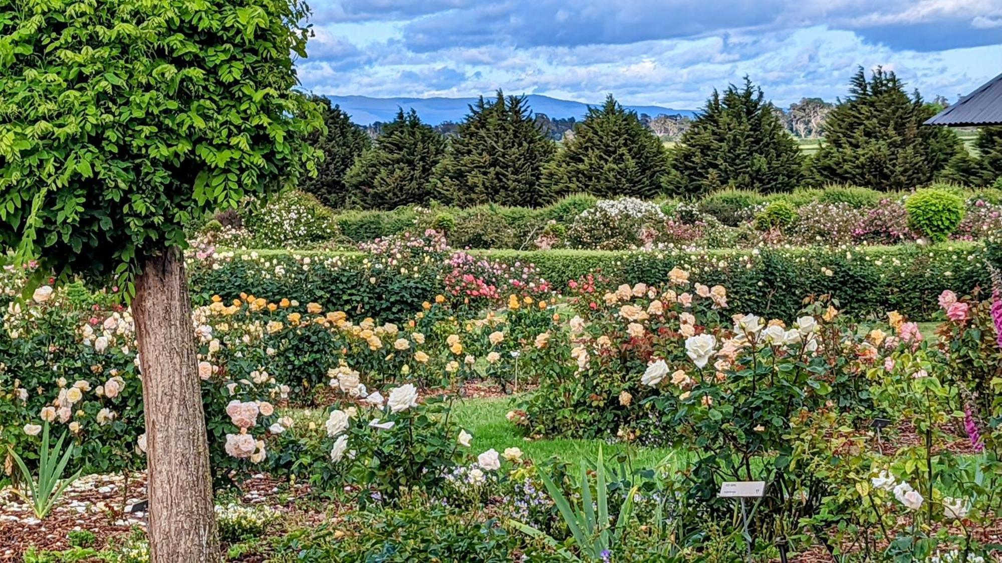 Woolmers Estate Longford Εξωτερικό φωτογραφία
